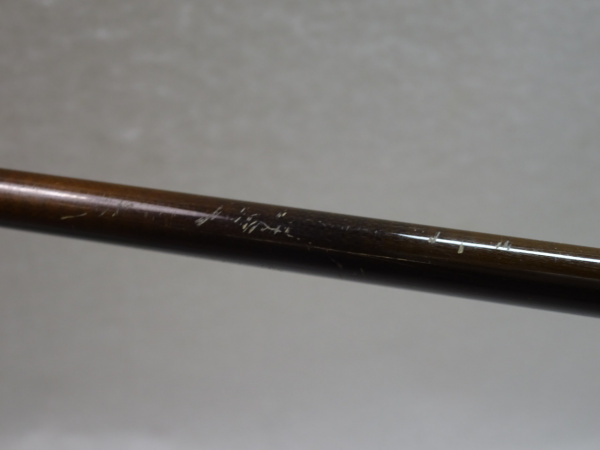 セージ　グラファイト２